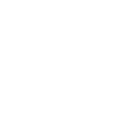 jalisco250